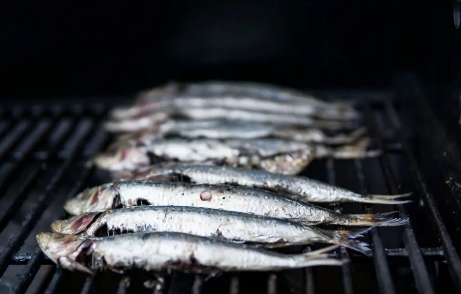 Sardines et maquereaux frais alignés sur glace, peau brillante, au marché